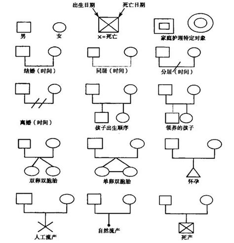 家庭關係圖畫法|如何制作家系图: 14 步骤